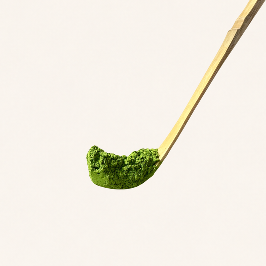 Bamboo Matcha Scoop with matcha on a white background