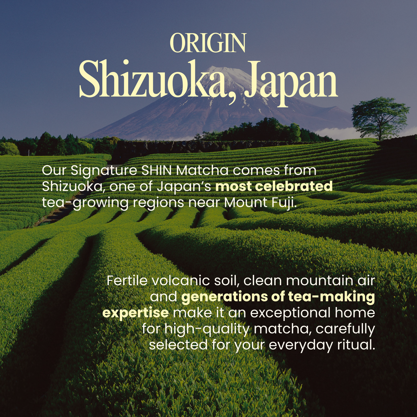 Signature SHIN Matcha 30g